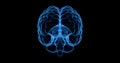 Brain X-Ray on Black Background. Hologram glow blue light Xray of Digital Brain Concept. Science Technology Anatomy Royalty Free Stock Photo