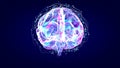 Brain xray, human anatomy, 3D Illustrated neurons