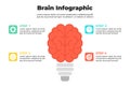 Brainlight infographic with brain as light bulb and four colorful icons Royalty Free Stock Photo