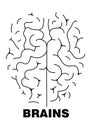 Brains Human brain top view. Line drawing illustration