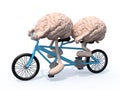 Brains riding tandem bicycle