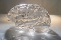 brainshaped ice sculpture glistening in soft lighting