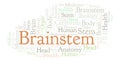 Brainstem word cloud.