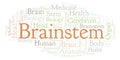 Brainstem word cloud.