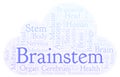 Brainstem word cloud.