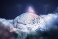 Brainstorm concept moody illustration of a brain Royalty Free Stock Photo