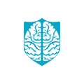 Brainstorm power thinking brain icon.