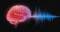 Brainwave Symphony: Translucent Brain & Vibrant Audio Waveform Visualization Royalty Free Stock Photo