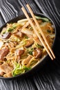 Braised Glass Noodles with Pork & Napa is a traditional Chinese dish close-up in a plate. vertical Royalty Free Stock Photo