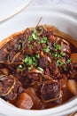 Braised lamb pot Royalty Free Stock Photo