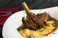 Braised lamb shank in mint and rosemary gravy, with Puree