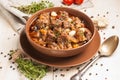 Braised meat with vegetables in a thick sauce
