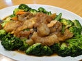 Braised  Sea Cucumber with Broccoli Royalty Free Stock Photo