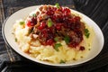 Braised venison with mashed potatoes and lingonberry sauce close-up in a plate. horizontal