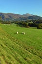 Newlands Valley to Skiddaw Lake District Cumbria UK 