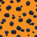 Bramble Seamless pattern. Fresh blackberry seamless pattern. Pattern with fresh wild berries isolated on orange background Royalty Free Stock Photo