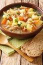 Bramboracka Czech Soup with Wild Forrest Mushrooms served with bread closeup in the plate. Vertical Royalty Free Stock Photo