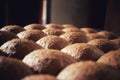 bran bread, fresh from the oven Royalty Free Stock Photo