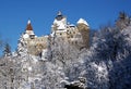 Bran Castle Royalty Free Stock Photo