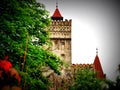 Bran Castle on Wet and Windy Day, Romania Royalty Free Stock Photo