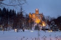 Bran castle in winter Royalty Free Stock Photo