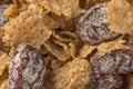 Bran Cereal Raisins Royalty Free Stock Photo