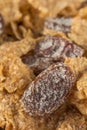 Bran Cereal Raisins Royalty Free Stock Photo