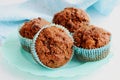 Bran muffins closeup aqua plate