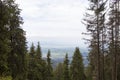 Bran village view from Bucegi mountains Royalty Free Stock Photo