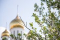 Branch of apple tree and Ortodox Church on background , soft focus