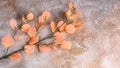 A branch of artificial flowers in the color of the year 2024 Peach Fuzz on a concrete background.