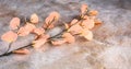 A branch of artificial flowers in the color of the year 2024 Peach Fuzz on a concrete background.