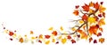 Branch With Autumn Leaves Royalty Free Stock Photo