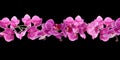 Branch of beautiful orchid on background. Banner design Royalty Free Stock Photo