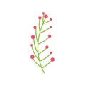 Branch berries foliage nature icon on white background