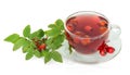 Branch with berries wild rose and cup tea isolated. Royalty Free Stock Photo