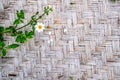 A branch of Biden Alba flower and leaves, a grass family, on the woven rattan mat.