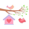 Branch with a birdhouse and cute birds. Springtime. Bird is flying