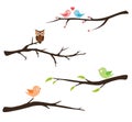 Branch with birds and owl