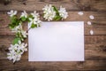 A branch of a blooming apple tree with white flowers and a sheet of paper on a wooden background, with a copy space Royalty Free Stock Photo