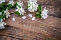 A branch of a blooming apple tree on a wooden background Royalty Free Stock Photo