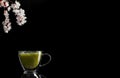 A branch of blooming cherry and a cup of matcha green tea are located on a black background. Copy space for text. A brief moment Royalty Free Stock Photo