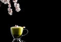 Branch of blooming cherry and a cup of matcha green tea with milk foam are located on a black background. Copy space for text. A Royalty Free Stock Photo