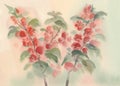 Branch of blooming quince watercolor Royalty Free Stock Photo