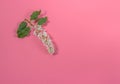 Branch of blossoming bird cherry in a flat layout on a pink background. Spring blossom composition. Top view, flat lay Royalty Free Stock Photo