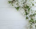 Branch of blossoming cherry springtime on a white wooden background Royalty Free Stock Photo