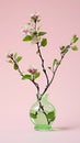 branch with blossoming flowers in a glass vase, concept of the arrival of spring, vertical photo