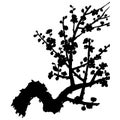 A branch of a blossoming fruit tree. Hand drawn vector silhouette of plum mei, wild apricots and sakura Royalty Free Stock Photo