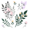 A branch of a blossoming tree. Leaves and flowers. Isolated vector botanical clip art element for design. Royalty Free Stock Photo