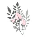 A branch of a blossoming tree. Leaves and flowers. Isolated vector botanical clip art element for design Royalty Free Stock Photo